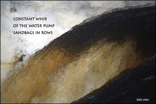 Haiga by Kathy Cotton