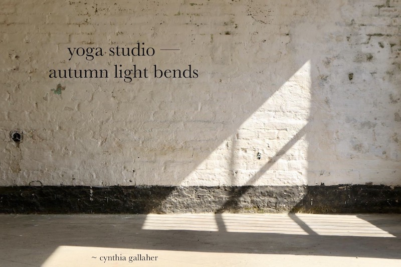 Haiga by Cynthia Gallaher